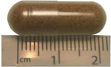 Intestable Capsules