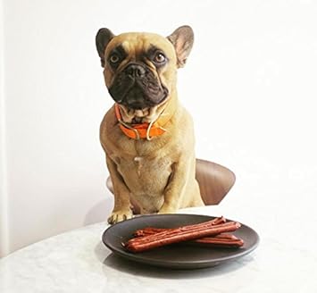 PLATO Thinkers Singles Salmon .63oz, Natural : Pet Supplies