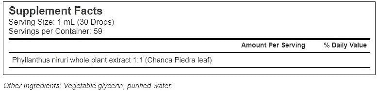 Whole World Botanicals Royal Kidney Bladder Liquid, 2 Oz : Health & Household