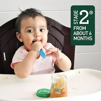 Beech-Nut Fruities Stage 2 Baby Food, Banana Pear & Sweet Potato, 3.5 oz Pouch : Baby