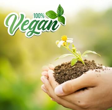 Mystic Moments | Silver Sparkle Mica 100g Vegan GMO Free : Amazon.co.uk: Home & Kitchen