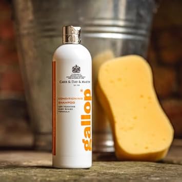 Other CARR & DAY & MARTIN GALLOP CONDITIONING SHAMPOO, clear, 500ml : Amazon.co.uk: Pet Supplies
