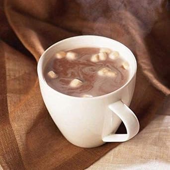 BariatricPal Hot Chocolate Protein Drink - Hot Chocolate with Marshmallows (1-Pack) : Grocery & Gourmet Food