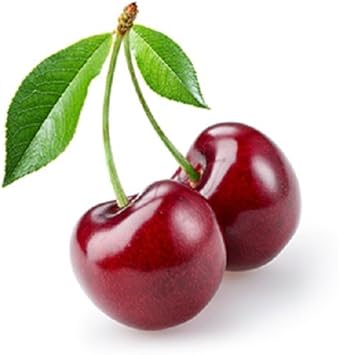 Vet's Best Bitter Cherry Anti-Chew Deterrent Spray 221ml?3165810090