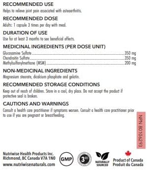 NutriWise High Potency Milk Thistle Silymarin 250mg : Health & Household