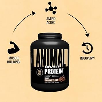 Animal 100% Whey Protein Powder – Whey Blend for Pre- or Post-Workout, Recovery or an Anytime Protein Boost– Low Sugar – Chocolate, 4 lb (Packaging may vary) : Health & Household