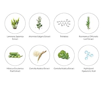 Dearklairs] Fundamental Water Gel Cream 2.36 Fl Oz | Vegan, Jeju Green Tea Water And Panthenol : Beauty & Personal Care