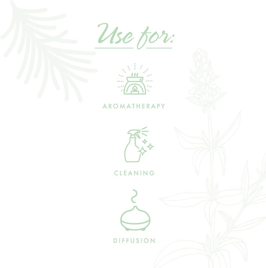 NOW Essential Oils, Clear the Air Oil Blend, Purifying Aromatherapy Scent, Blend of Pure Essential Oils, Steam Distilled, Vegan, Child Resistant Cap, 1-Ounce