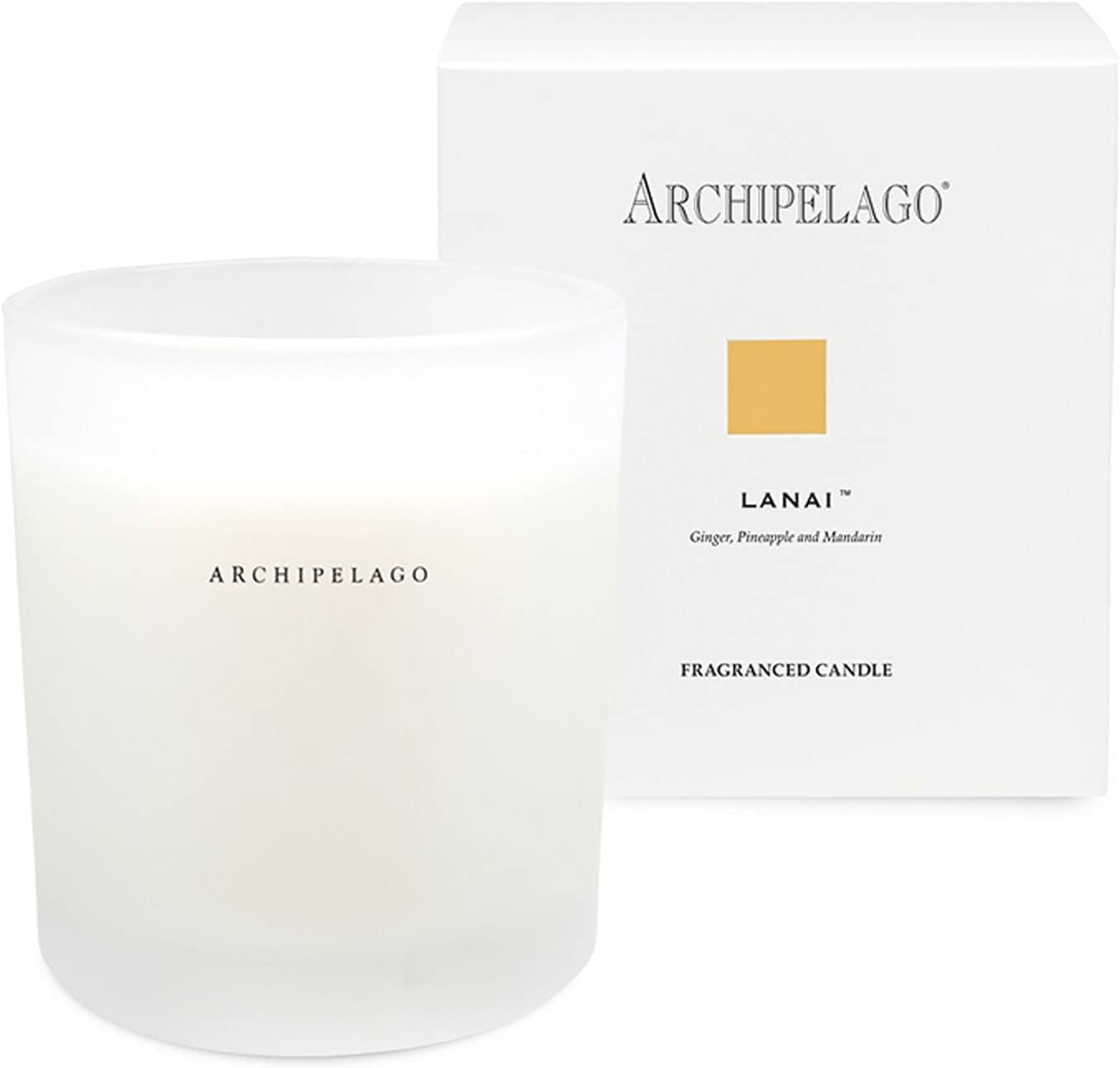 Archipelago Botanicals Lanai Boxed Candle. Alluring Scent of Pineapple, Mandarin and Ginger. Natural Coconut Wax Burns 60 Hours (10 oz)