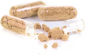 Pure Original Ingredients Horsetail (365 Capsules) No Magnesium Or Rice Fillers, Always Pure, Lab Verified : Health & Household