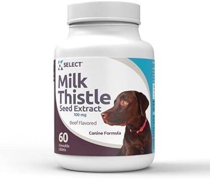 Milk Thistle for Dogs, 100mg - 60 Beef Flavored Tablets - Canine Liver Health Natural Milk Thistle Supplement - Liver Supplement - Liver Support Supplement - Milk Thistle Herbal Supplements
