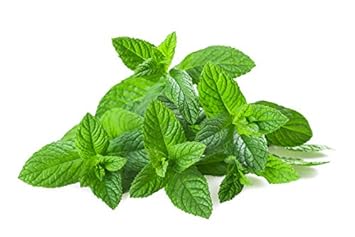 Us Organic Sweet Almond Kernel Oil, Usda Certified Organic,100% Pure & Natural, Cold Pressed Virgin, Unrefined In Amber Glass Bottle W/Eyedropper, Sourced From Poland (2 Oz (56 Ml)) : Beauty & Personal Care