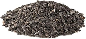 Extra Select Black Sunflower Seed Wild Bird Food, 12.75 kg?08BLSF12.75