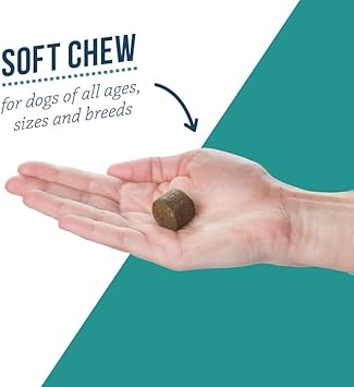 Elanco Alenza Soft Chews Aging Support for Dogs, 60 Count : Pet Multivitamins : Pet Supplies