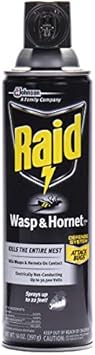 Raid Wasp And Hornet Killer Spray, Kills The Entire Nest, Kills Paper Wasps, Yellow Jackets, Mud Daubers And More, 14 Oz