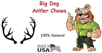 Big Dog Antler Chews - Whitetail Deer Antler Dog Chew, Medium, 8 Inches to 13 Inches Long, Natural, Healthy Long-Lasting Treat. for Medium to Large Size Dogs and Puppies. : Pet Supplies
