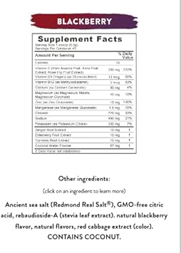 Redmond Re-Lyte Immunity, Multivitamin Supplement Mix (Blackberry) : Health & Household