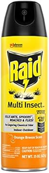 Raid Multi Insect Killer, Orange Breeze 15 Ounce (Pack Of 1)