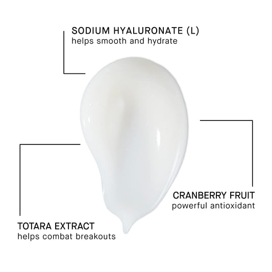 Arcona Magic White Ice - Daily Oil Free Moisturizer - Hyaluronic Acid Moisturizer With Organic Aloe, Tea Tree, Vitamin C & Glyercin -Made In The Usa