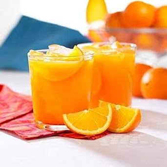BariatricPal Fruit 15g Protein Drinks - Orangeade (1-Pack)