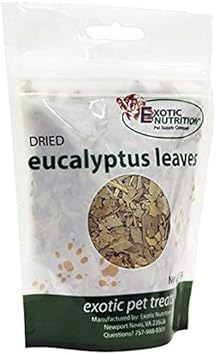 Exotic Nutrition Eucalyptus Leaves (60 G.) - Healthy Natural Treat - Native Sugar Glider Food - 100% Natural Dried Eucalyptus Leaves