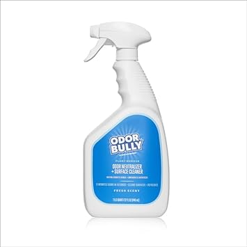 Whip-It Odor Bully Instant Odor Neutralizer Spray - Stain Remover and Odor Eliminator for Home and Car in One - 32oz : Health & Household