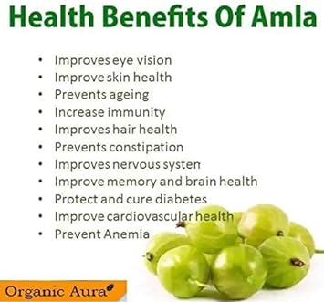 AMLA Capsules. 1000mg per Serving, 120 Veg Capsules. Natural Vitamin C and Antioxidants. Raw Whole Superfood. All Natural, Fresh and Original. No GMO and Gluten Free. : Health & Household