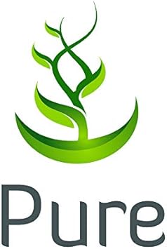 PURE ORIGINAL INGREDIENTS GABA (365 Capsules) No Magnesium Or Rice Fillers, Always Pure, Lab Verified : Health & Household