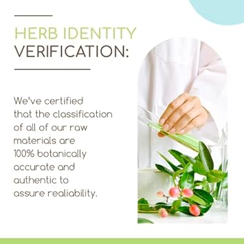 Bugleweed B60 Usda Organic Tincture | Alcohol-Free Extract, High-Potency Herbal Drops| Certified Organic Bugleweed (Ze Lan, Lycopus Virginicus) Dried Herb (2 Fl Oz)
