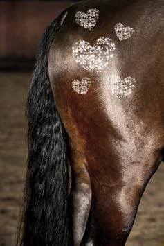 Mane Tail Liquid With Bio-Sulphur Care Spray For A Healthy And Shiny Mane And Tail