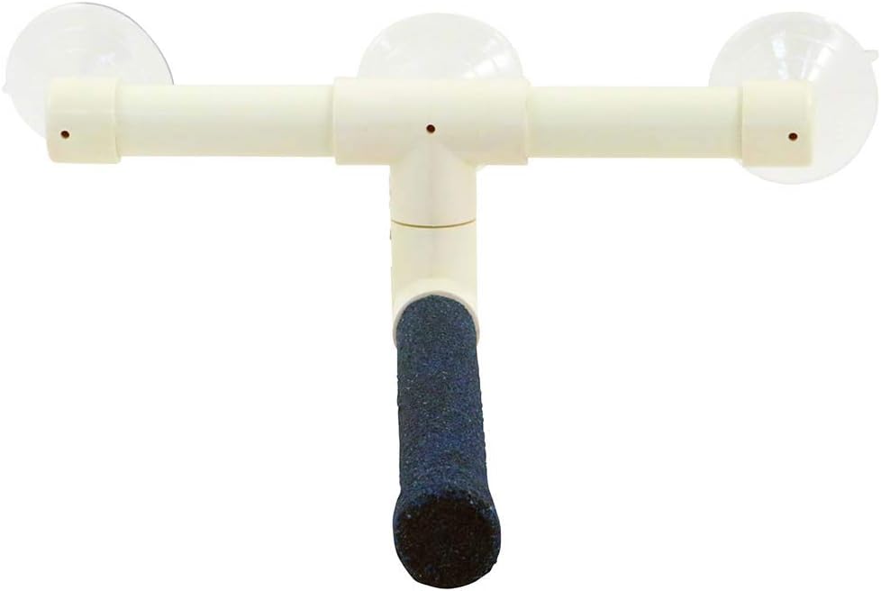 Northern Parrots Sanded Shower Perch for Parrots Medium :Pet Supplies