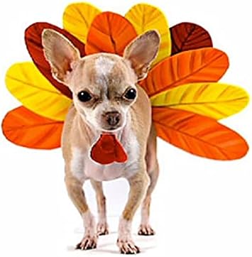 Blue Dog Bakery Doggie Paws, Pumpkin Flavor, 10 Ounces : Pet Supplies
