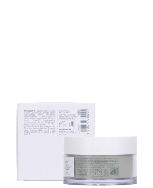 Fanola The Styling Mask, Maintain Styling For A Longer Time And Reduce Drying Time, For Healthier And Vital Hair, 2 Minutes Exposure Time, 750