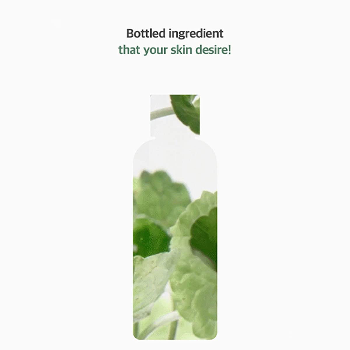 Mixsoon Centella Asiatica Toner 10.14 Fl Oz / 300 Ml