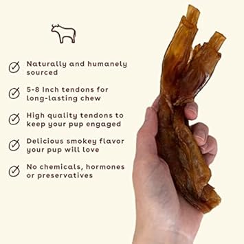 Pupford Beef Tendon Chews For Dogs | Cleans Teeth, Teaches Proper Chewing & Contains Glucosamine To Help Joints | Extra Thick, Long-Lasting, Natural Ingredients, Low Calorie (Thick, 3 Count)