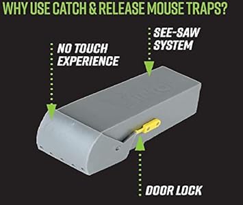 Deadfast Humane Live Catch and Release Mouse Trap, Twin Pack?20300401