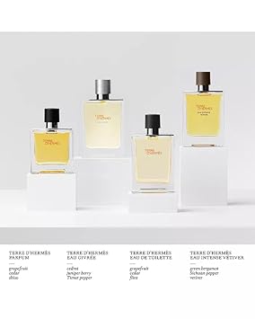 Terre D'Hermes Eau De Intense Vetiver By Hermes For Men 0.5 Oz Eau De Parfum Spray With Pouch : Beauty & Personal Care