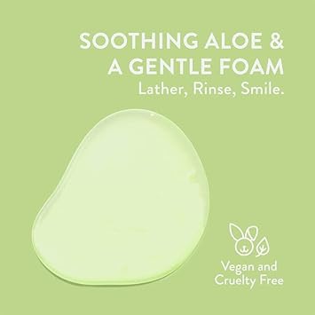 Native Sensitive Face Wash, Spa Day Every Day Facial Cleanswer (2 Pack) | Daily Face Cleanerwith Aloe and Vitamin B3, Unscented, 12 fl oz : Beauty & Personal Care