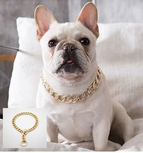 VALUEVIBES Stylish Dog Chain Collar Necklace for Pets, Adjustable Fashion Accessory for Small and Medium Dogs, Comfortable & Lightweight Pet Photo Prop