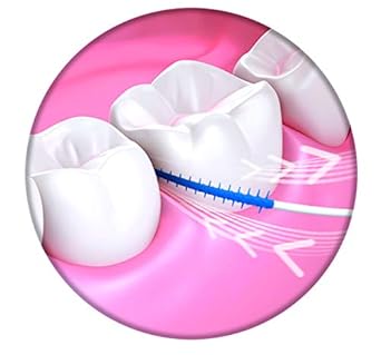 Wisdom Clean Between Interdental Large Purple Brushes - Pack Of 3, Total 60