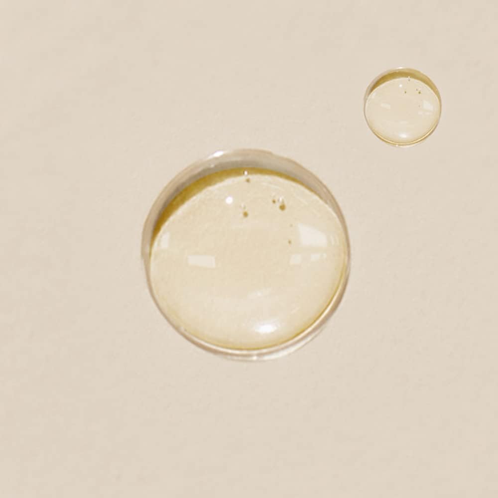 Manyo Factory Our Vegan Heartleaf Cica Toner Korean Skin Care 13.52Fl Oz (400Ml) (Eng Version) : Beauty & Personal Care