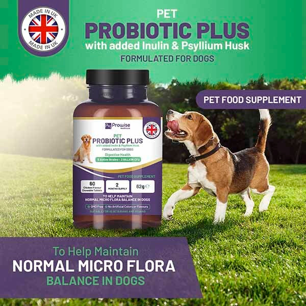 Prowise Pet Probiotic Plus With 5 Active Strains 60 Tablets