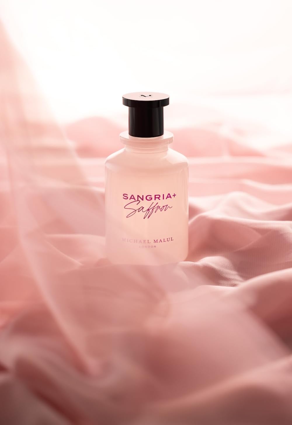Michael Malul Sangria + Saffron Eau de Parfum for Women - 100ml | 3.4oz : Amazon.co.uk: Beauty