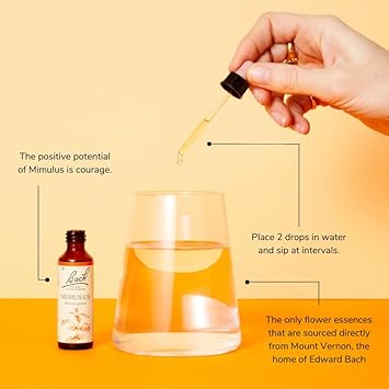 Bach Original Flower Remedies Red Chestnut, Face Your Fears, Peace of Mind, Emotional Wellness, Natural Flower Essence, 10ml : Amazon.co.uk: Health & Personal Care