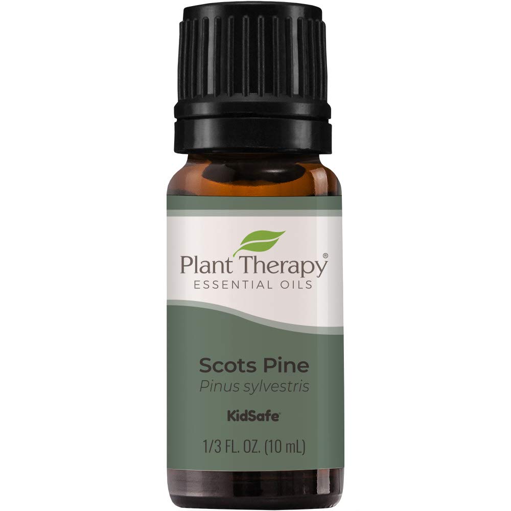 Plant Therapy Scots Pine Essential Oil 10 Ml (1/3 Oz) 100% Pure, Undiluted, Therapeutic Grade