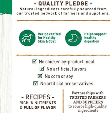 NUTRO PREMIUM LOAF Adult Natural Grain Free Wet Dog Food Healthy Turkey, Sweet Potato & Green Bean Recipe, 12.5 oz. Cans (Pack of 12): Pet Supplies: Amazon.com