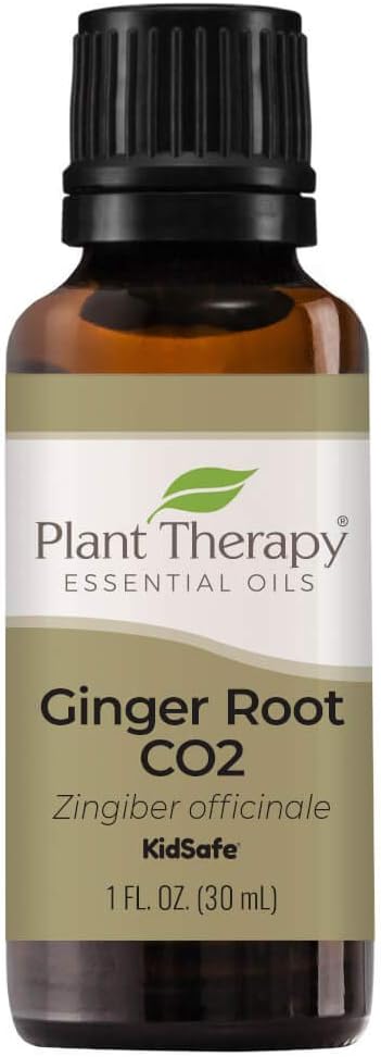 Plant Therapy Ginger Root Co2 Essential Oil 100% Pure, Undiluted, Natural Aromatherapy, Therapeutic Grade 30 Ml (1 Oz)