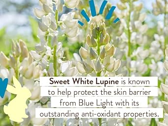 Babo Botanicals Daily Sheer Mineral Sunscreen Fluid Spf50 - Natural Zinc Oxide - Passion Fruit Oil - Fragrance Free - Ultra-Lightweight - For Face - For All Ages : Beauty & Personal Care