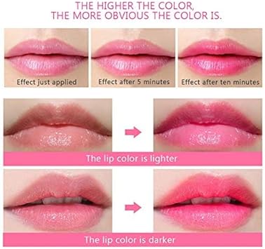 6Pcs Transparent Change Color Lip Balm Moisturizer Pink Crystal Jelly Flower Lipstick Long-Lasting Magic Temperature Lip Makeup