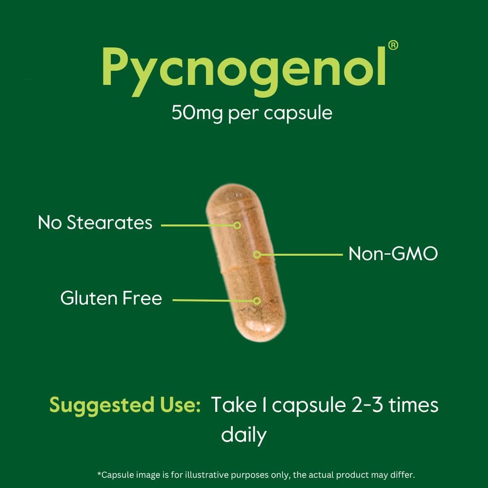 Bestvite Pycnogenol 100Mg (120 Capsules) (60X2) - French Maritime Pine Bark Extract - No Stearates - Gluten Free - Non Gmo : Health & Household